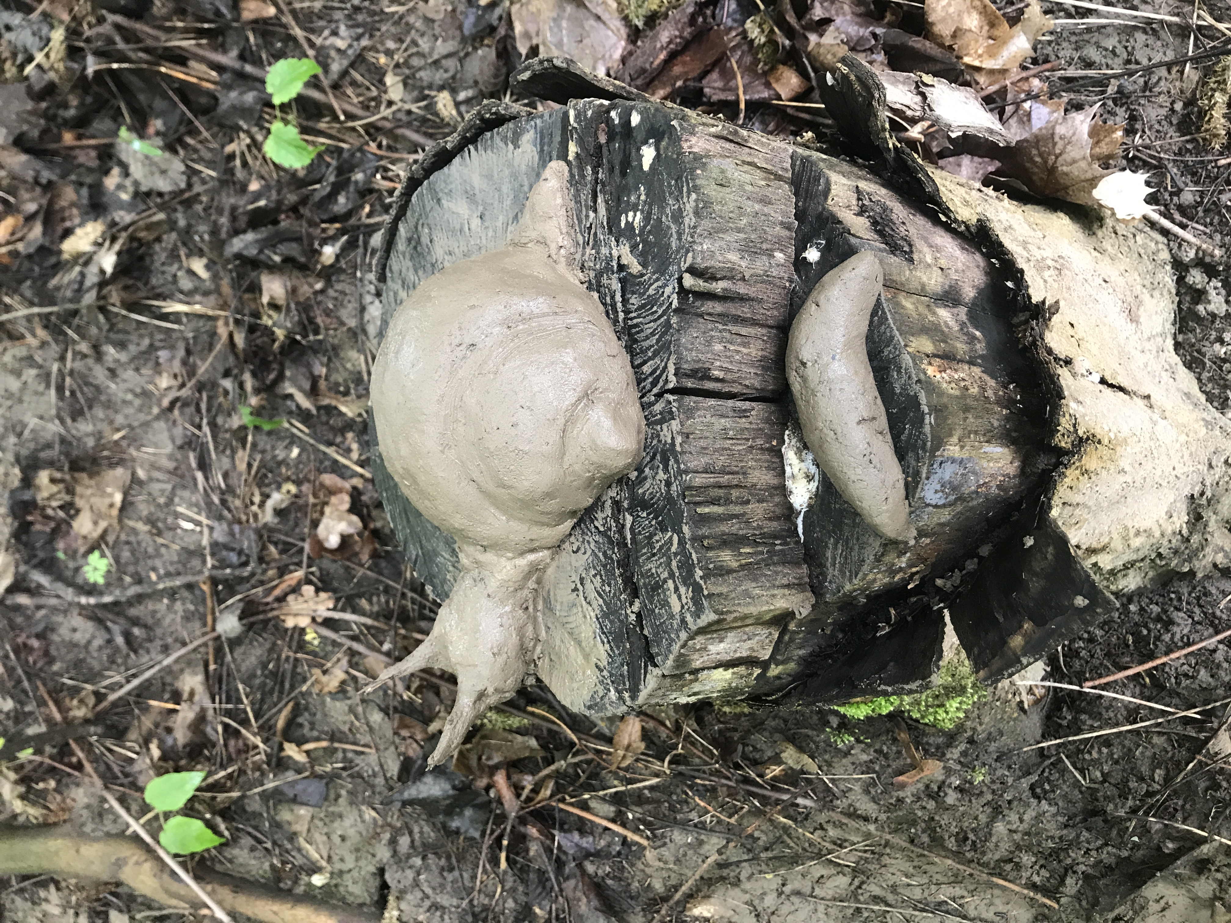 clay/fiber 58